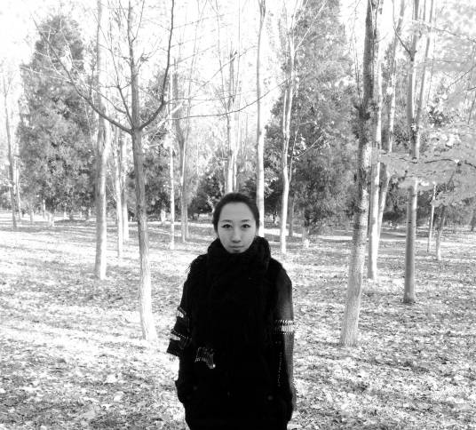 陈嘉伦（中国当代艺术家）