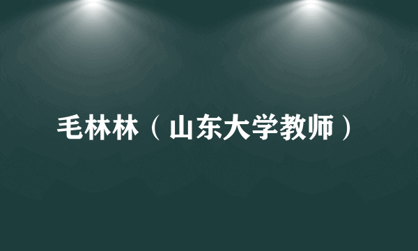 毛林林（山东大学教师）
