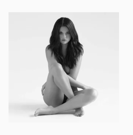 Camouflage（Selena Gomez演唱歌曲）