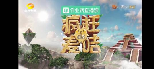 疯狂的麦咭第八季
