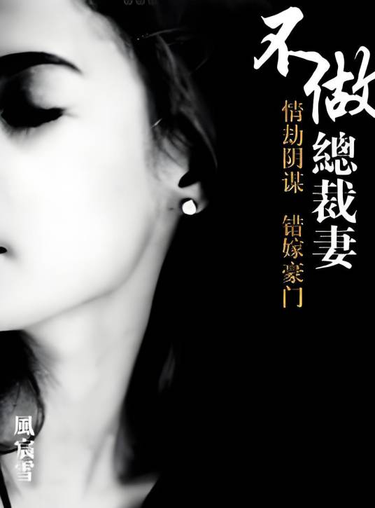 爱情禁忌区：不做总裁妻