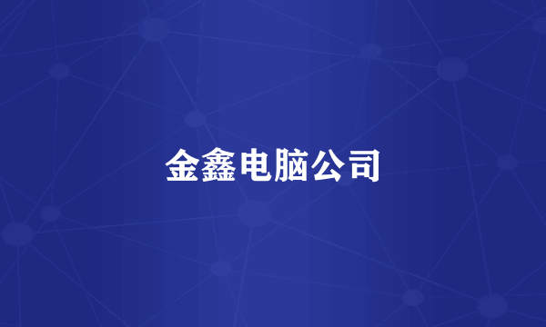 金鑫电脑公司
