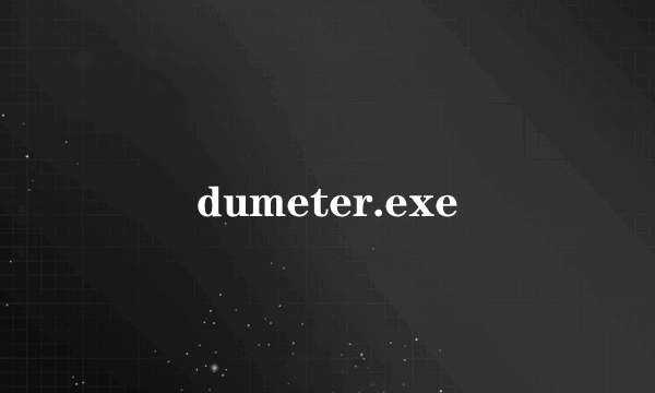 dumeter.exe