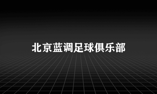 北京蓝调足球俱乐部