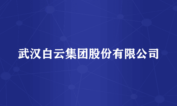 武汉白云集团股份有限公司