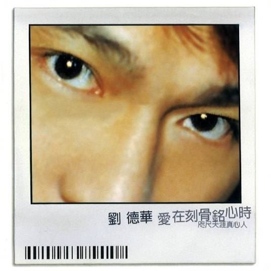 灯红酒绿（刘德华演唱歌曲）