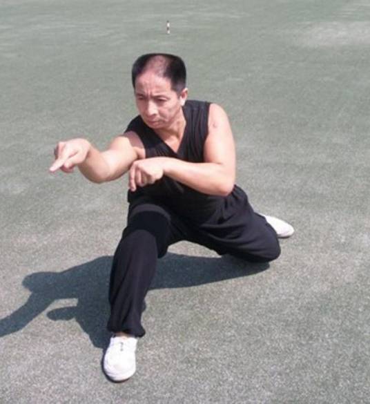 螳螂拳（山东省烟台市莱阳市传统体育）