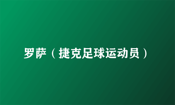 罗萨（捷克足球运动员）
