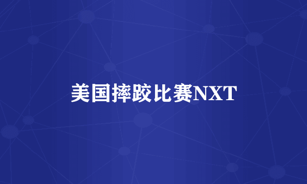美国摔跤比赛NXT