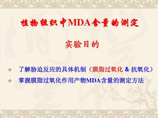 MDA实验
