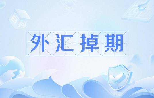 外汇掉期