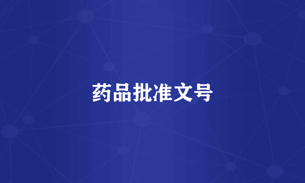 药品批准文号