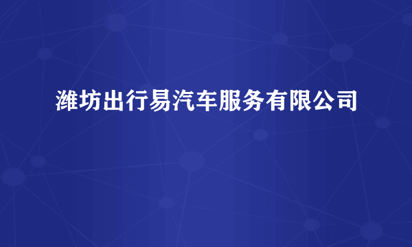 潍坊出行易汽车服务有限公司