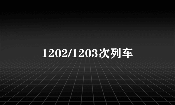 1202/1203次列车