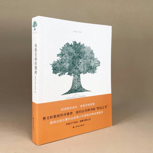 布鲁克林有棵树（2009年译林出版社出版的图书）