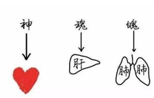 魄（中医释义）