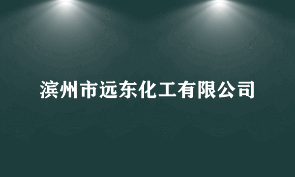 滨州市远东化工有限公司