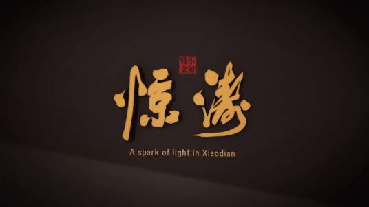 惊涛（韩波唐娟娟导演的党史纪录片）