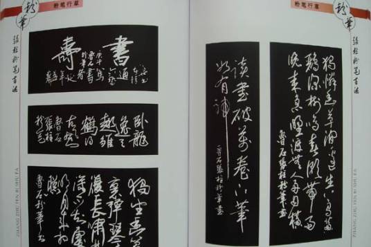 张柱（山东省书法家协会会员）