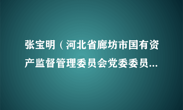 张宝明（河北省廊坊市国有资产监督管理委员会党委委员、副主任、二级调研员）