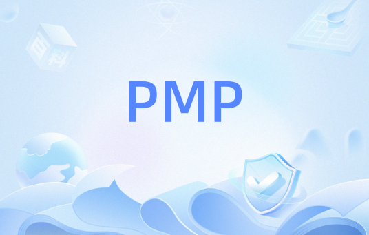 PMP（其他含义）