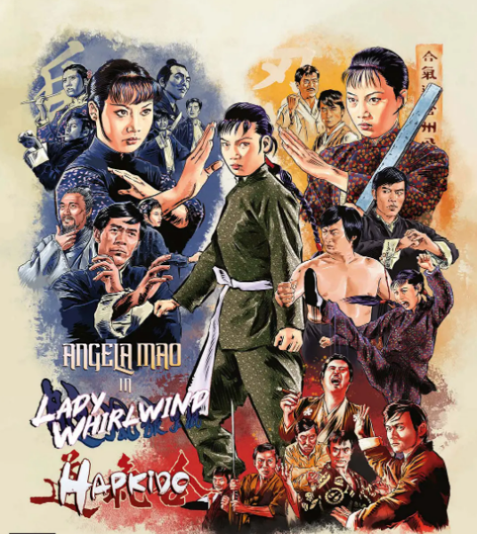 合气道（1972年黄枫执导电影）
