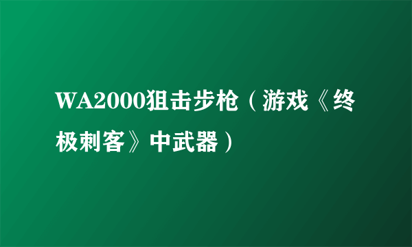 WA2000狙击步枪（游戏《终极刺客》中武器）