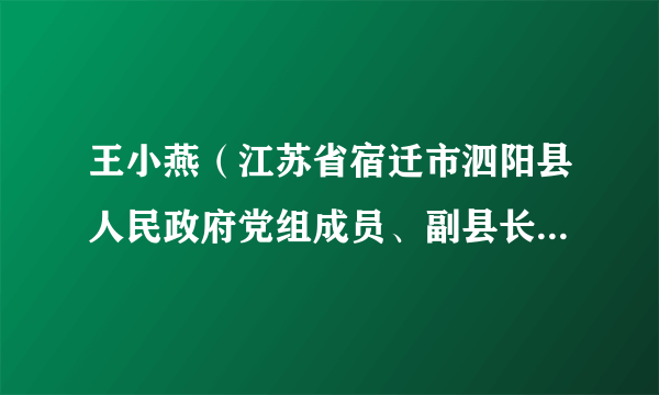 王小燕（江苏省宿迁市泗阳县人民政府党组成员、副县长，江苏泗阳经济开发区农业产业园区党委书记）
