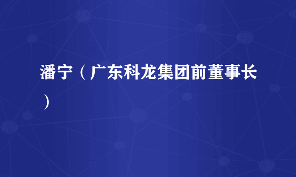 潘宁（广东科龙集团前董事长）