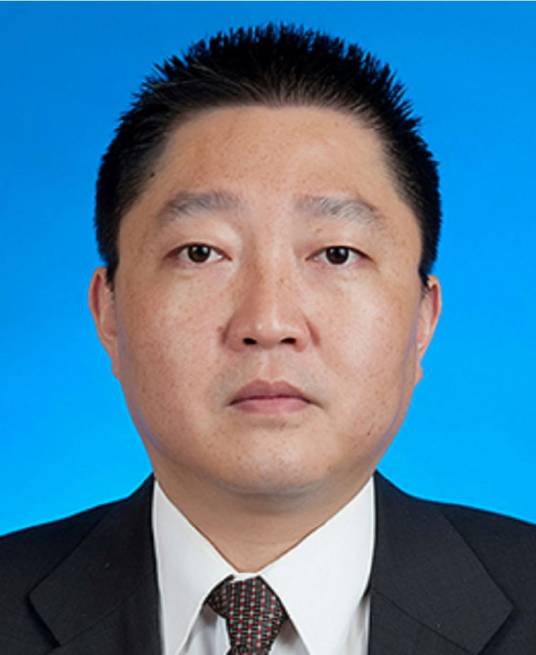 贾宇（重庆市沙坪坝区政协党组成员）