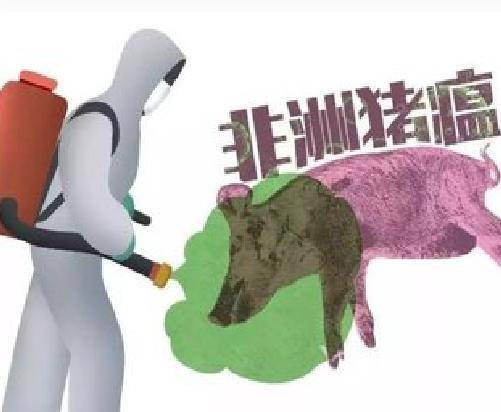 2019年非洲猪瘟疫情