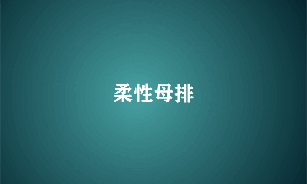 柔性母排