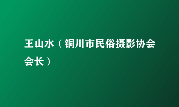 王山水（铜川市民俗摄影协会会长）
