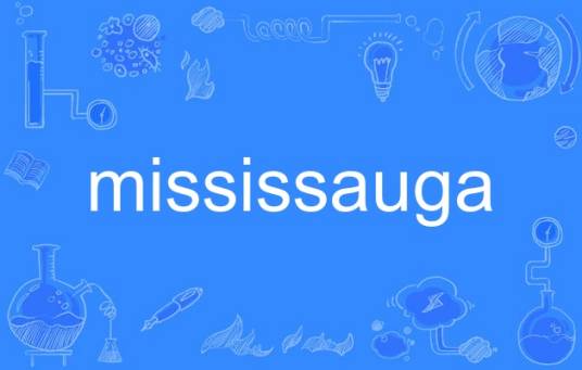 mississauga