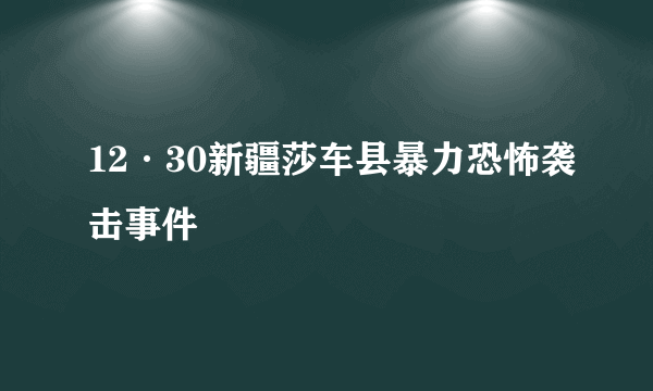 12·30新疆莎车县暴力恐怖袭击事件
