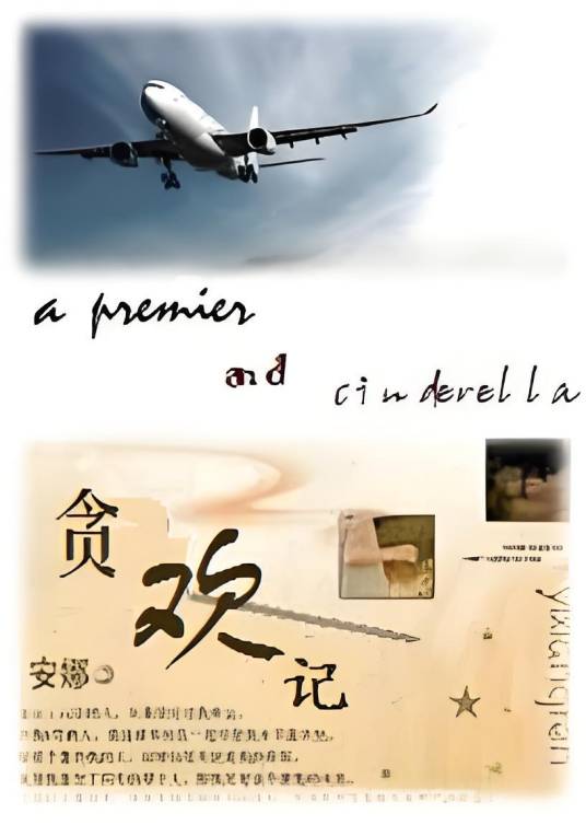 灰姑娘的异国恋歌：贪欢记