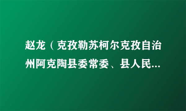 赵龙（克孜勒苏柯尔克孜自治州阿克陶县委常委、县人民政府常务副县长）