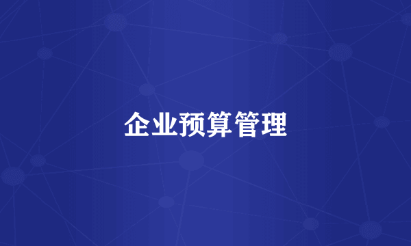 企业预算管理