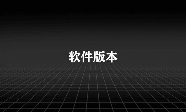 软件版本