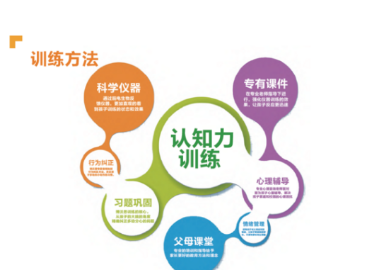 认知力