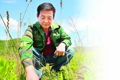 金文元（原延边军分区副司令员）