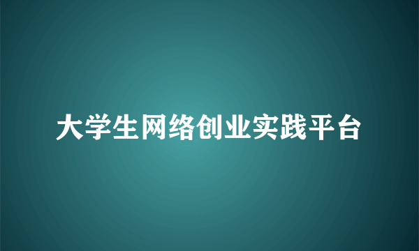 大学生网络创业实践平台
