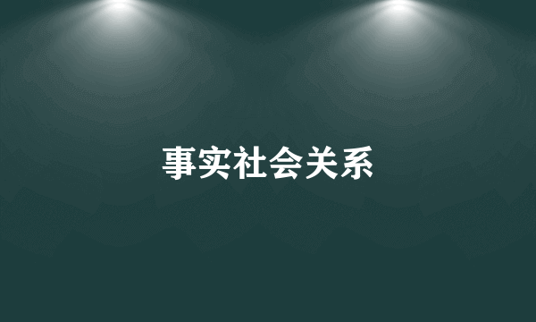 事实社会关系