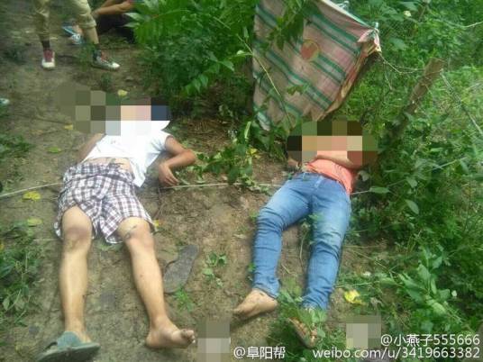 6·22阜南高压线电击事件