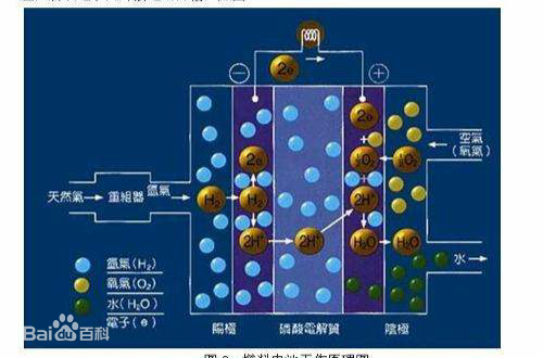 静态排水燃料电池模块