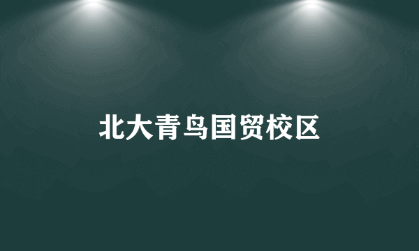 北大青鸟国贸校区
