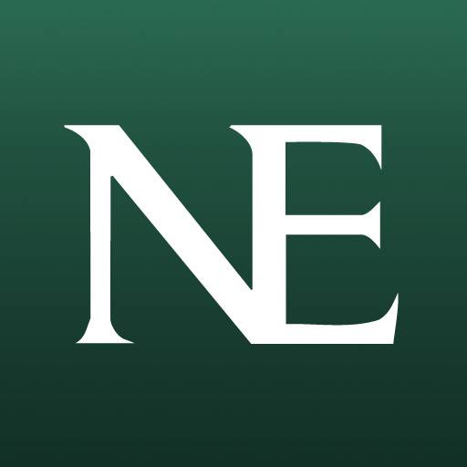 NE（Net Element的缩写）