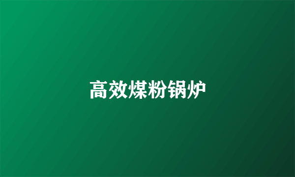 高效煤粉锅炉