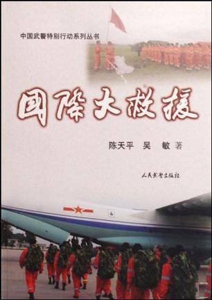 国际大救援