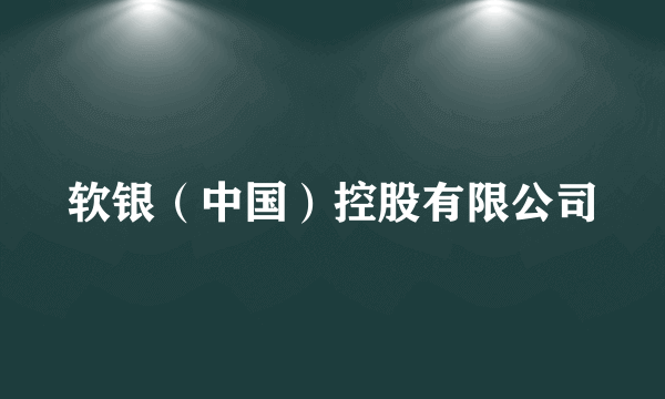 软银（中国）控股有限公司